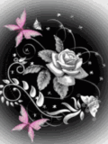 white,rose,roses,animated